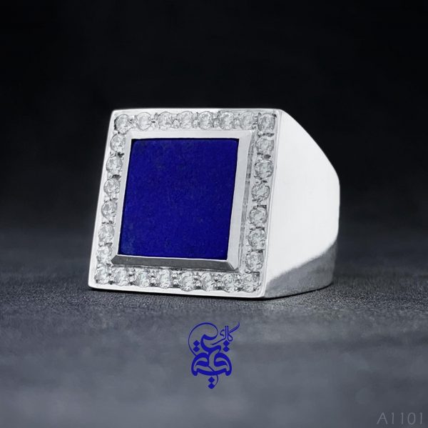 a1101