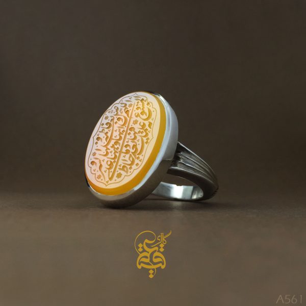 a561