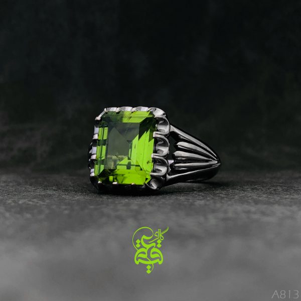 a813