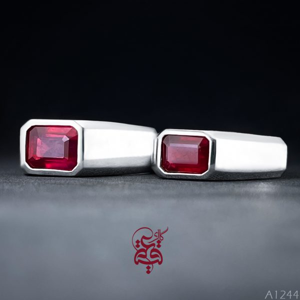 a1244
