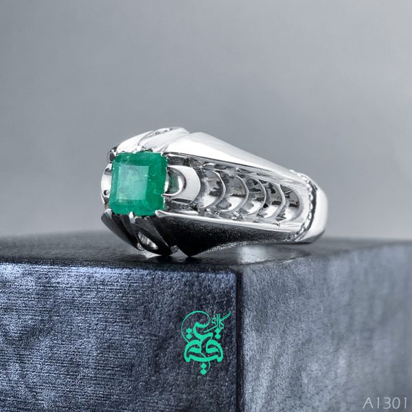 a1301